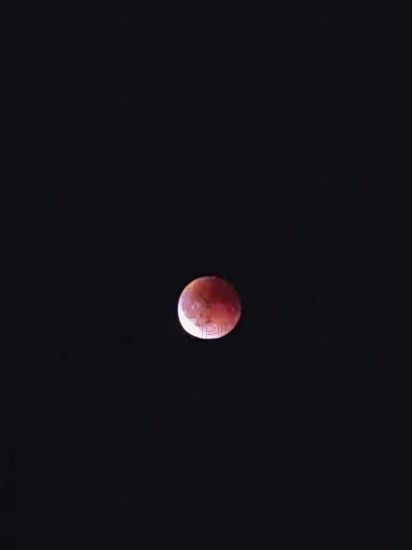 Bright red moon, blood moon, against a dark, almost black night sky, Upper Franconia