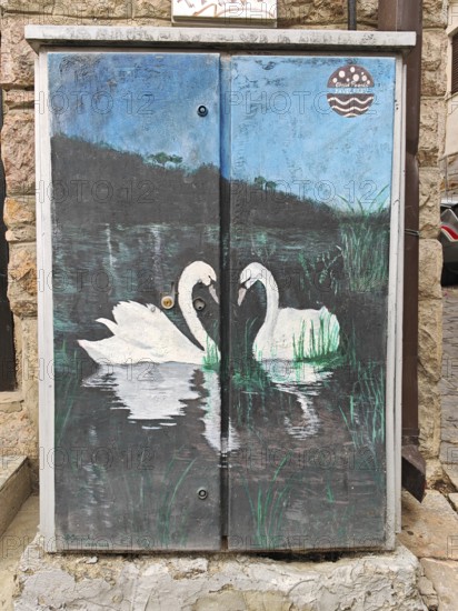A painting of two swans (cygnus) in the water, natural scenery, Skopje, North Macedonia