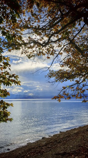 Waterfront view of a calm lake with autumn leaves and dramatic sky, Lake Ohrid, North Macedonia