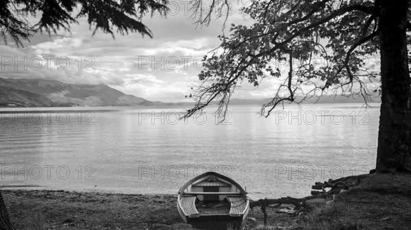 Black and white view of a boat on the shore of a quiet lake under trees, Lake Ohrid, North Macedonia