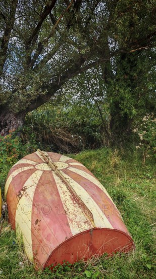 An old, weathered boat in a meadow with the North Macedonian flag as painting under a shady tree in a rural area, Lake Ohrid, North Macedonia
