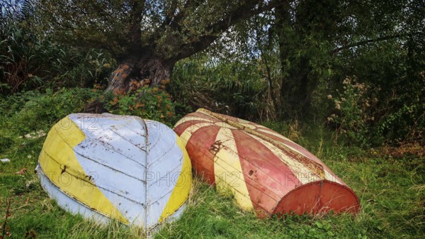 Two old, colorful boats are lying, with the Macedonian flag painted, in a meadow next to a tree, framed by natural vegetation, Ohrid, North Macedonia