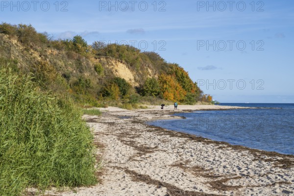 Beach and cliffs, people on the beach, autumn, Lobbe, Mönchgut, Rügen, island, Baltic Sea, Mecklenburg-Western Pomerania, Germany