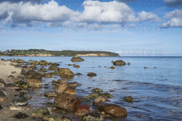 Boulders on the coast, view of Göhren cliffs, Lobbe, Mönchgut peninsula, Rügen, island, Baltic Sea, Mecklenburg-Western Pomerania, Germany