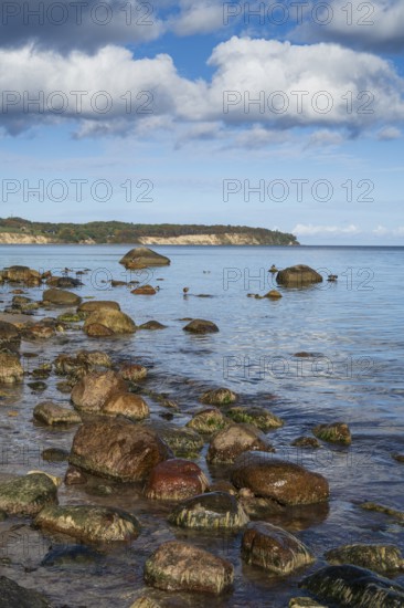 Boulders on the coast, view of Göhren cliffs, Lobbe, Mönchgut peninsula, Rügen, island, Baltic Sea, Mecklenburg-Western Pomerania, Germany