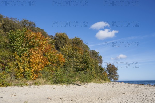Beach and cliffs, autumn, Lobbe, Mönchgut, Rügen, island, Baltic Sea, Mecklenburg-Western Pomerania, Germany