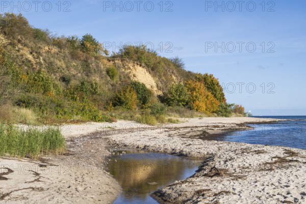 Beach and cliff with reflection, autumn, Lobbe, Mönchgut, Rügen, island, Baltic Sea, Mecklenburg-Western Pomerania, Germany