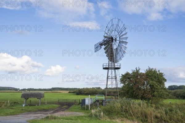 Windmill at Windschöpfwerk Lobbe, Technical Monument, Lobbe, Mönchgut Peninsula, Rügen, Island, Baltic Sea, Mecklenburg-Western Pomerania, Germany