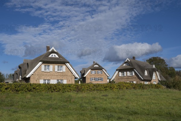 Several new thatched houses next to each other, Lobbe, Mönchgut peninsula, Rügen, island, Baltic Sea, Mecklenburg-Western Pomerania, Germany