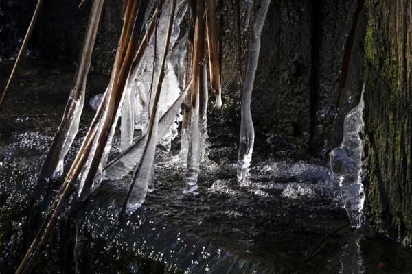 Ice on a watercourse, winter, Germany