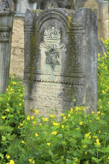Tombstone with reliefs of crown and star of David, Jewish cemetery, since 1866, Czernowicz, Bukovina, Ukraine
