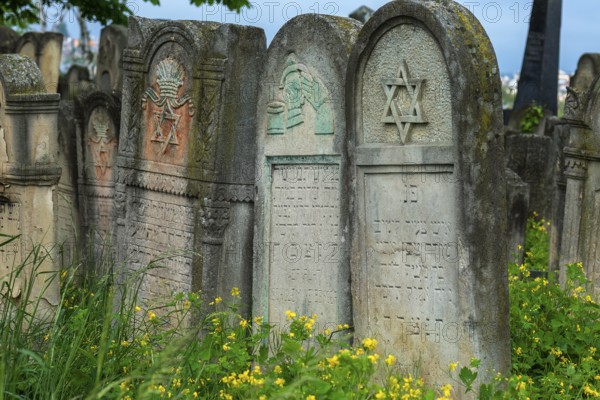 Tombstone with fabulous reliefs of various Jewish symbols, Jewish cemetery, since 1866, Czernowicz, Bukovina, Ukraine
