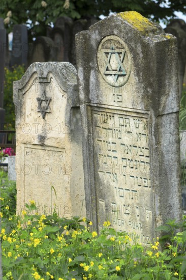 Tombstones with reliefs of a Star of David, Jewish cemetery, since 1866, Czernowicz, Bukovina, Ukraine