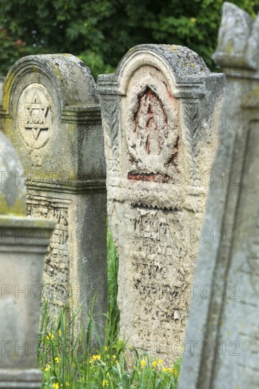 Tombstones with relief of symbols, Jewish cemetery, since 1866, Czernowicz, Bukovina, Ukraine