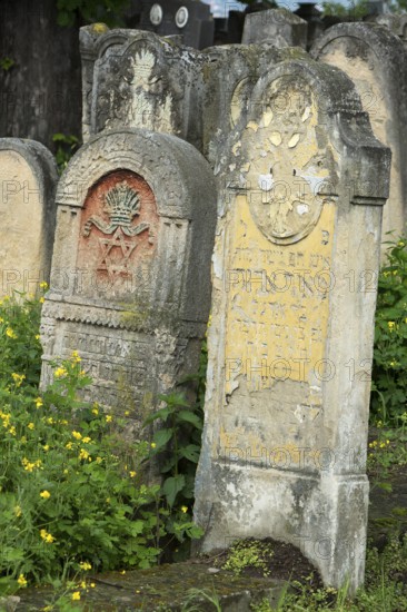 Jewish tombstones with coloured reliefs, Jewish cemetery, since 1866, Czernowicz, Bukovina, Ukraine
