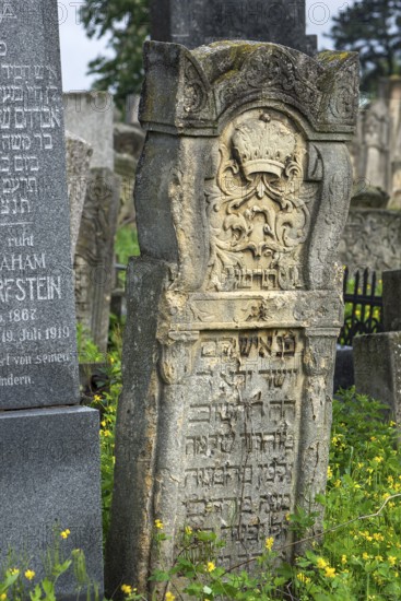 Tombstone and relief of a crown, Jewish cemetery, since 1866, Czernowicz, Bukovina, Ukraine