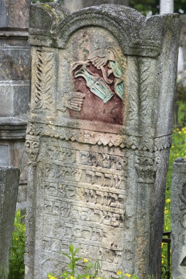 Jewish tombstone with coloured relief of a Levite pot, Jewish cemetery, since 1866, Czernowicz, Bukovina, Ukraine
