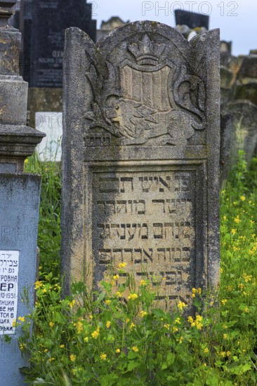 Tombstone and relief of a lion, Jewish cemetery, since 1866, Czernowicz, Bukovina, Ukraine