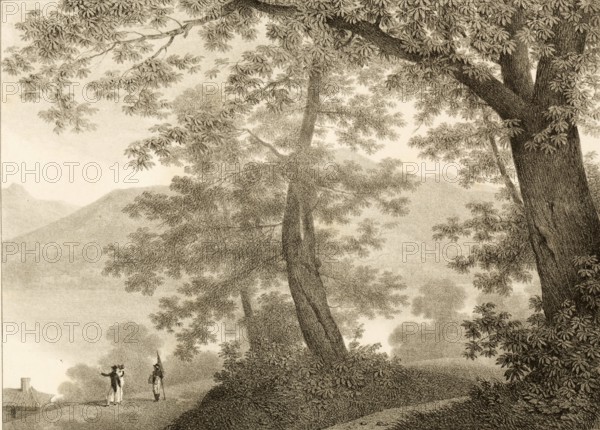 Villa Sommariva garden, now known as Villa Carlotta, is located in Cadenabbia on Lake Como, 1860, Como, Italy, authentic, digitally restored reproduction from a 19th century model, exact date of depiction unknown, historical