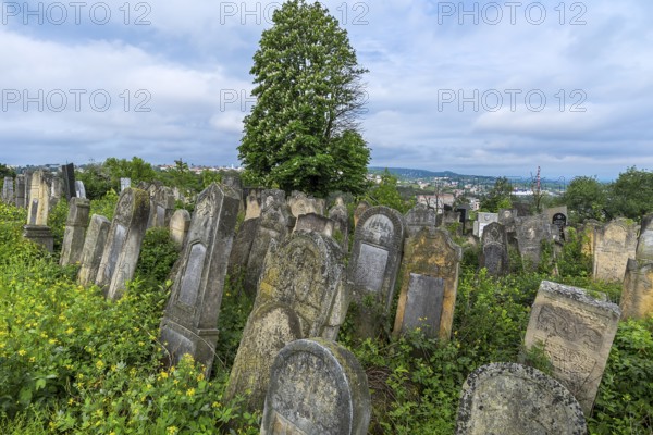 Historic Jewish Cemetery, since 1866, Czernowicz, Bukovina, Ukraine