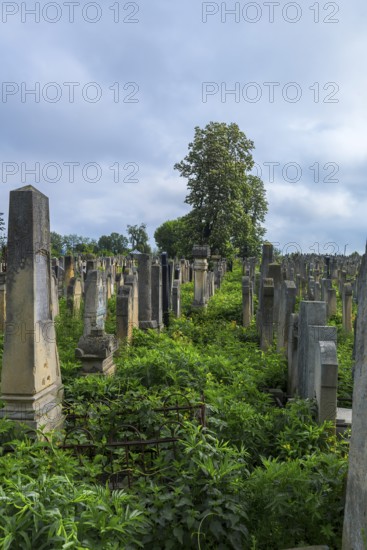 Jewish cemetery, since 1866, Czernowicz, Bukovina, Ukraine