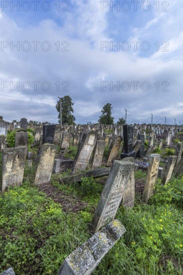 Historic Jewish Cemetery, since 1866, Czernowicz, Bukovina, Ukraine