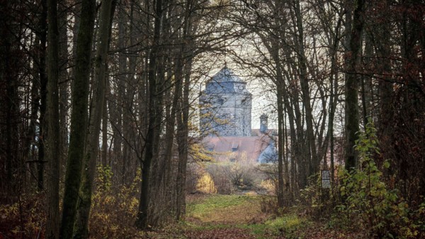 A path leads through a bare forest to a visible castle in the background, view of Rosenberg Fortress, Franconian Forest nature park Park