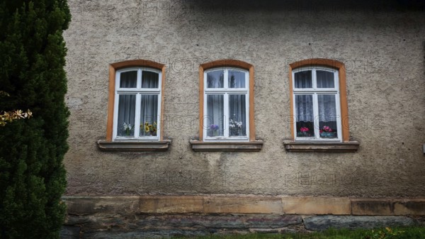 Three glazed windows with curtains and flowers, orchids (Orchidaceae) on a rustic house façade, Rennsteig, Thuringian Forest nature park Park