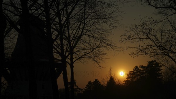 Sunset behind trees, silhouettes of a windmill, create a calm evening mood, Potsdam