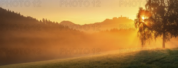 View of the Wartburg in the Thuringian Forest at sunrise and morning fog, the sun shining through the leaves of a birch tree in a meadow with dew, Eisenach, Thuringia, Germany
