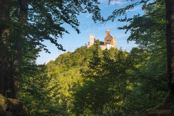 View of Wartburg through trees in the Thuringian Forest, Eisenach, Thuringia, Germany