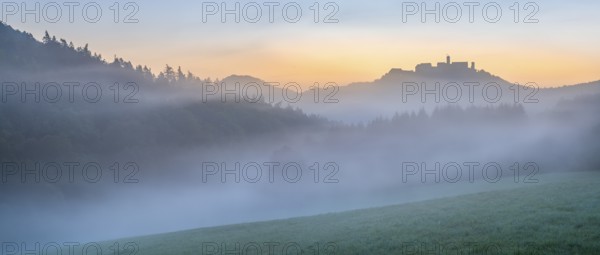 View of Wartburg Castle in the Thuringian Forest at sunrise, morning fog and dawn, meadow with dew, Eisenach, Thuringia, Germany