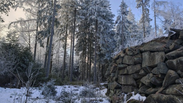Cold winter picture with a pile of stones in the forest, old quarry surrounded by snow-covered trees and clear sky with dusk in the background, Fichtelgebirge