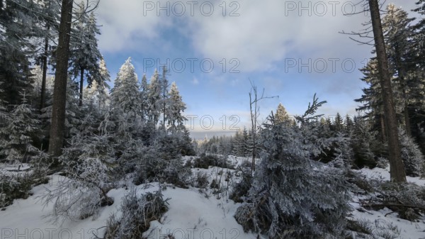 A vast area of forest in winter with snow-covered trees under a cloudy blue sky, Fichtelgebirge