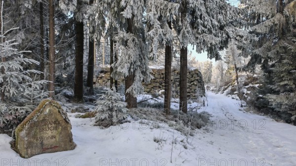 A snow-covered forest trail leads past an old structured ruin at Brauchrangenbruch, surrounded by large trees, Fichtelgebirge