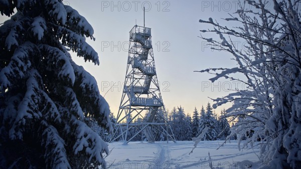 Snow-covered observation tower in the forest at dusk, surrounded by trees, Döbraberg, Frankenwald nature park Park