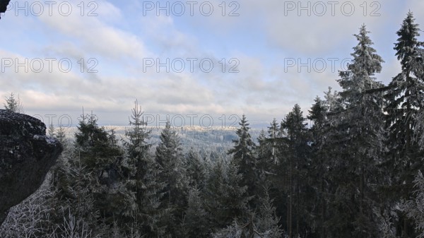 Snow-covered spruces (picea) and a wide view over the wintry landscape under a cloudy sky, Fichtelgebirge