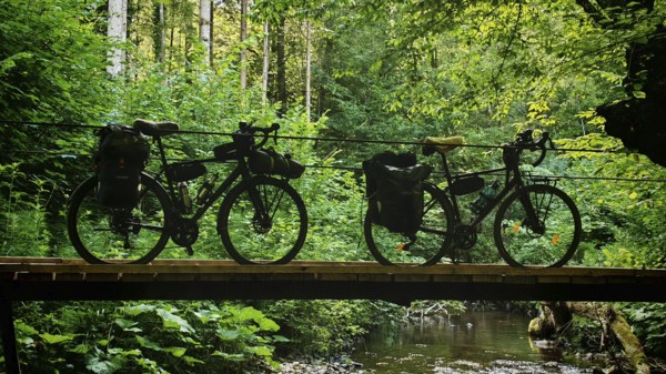 Two bikes on a wooden bridge over a river in the middle of a forest, Slovenia