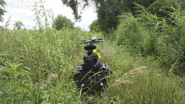 A bicycle is parked amidst thick, tall grass, Austria