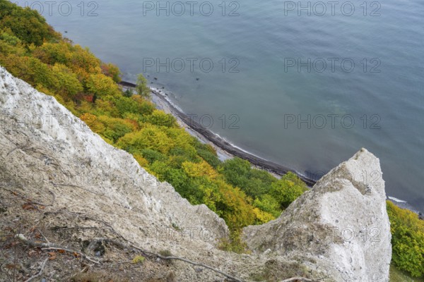 Victoria view of chalk cliffs and Baltic Sea, trees with autumn colors, view down, Jasmund National Park, Sassnitz, Rügen island, Baltic Sea, Mecklenburg-Western Pomerania, Germany