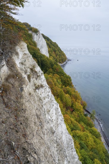 Victoria view of Königsstuhl, chalk cliffs and Baltic Sea, trees with autumn colors, Jasmund National Park, Sassnitz, Rügen island, Baltic Sea, Mecklenburg-Western Pomerania, Germany