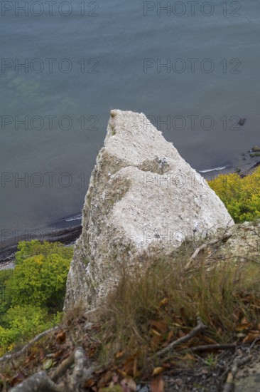 Victoria view of chalk cliffs and Baltic Sea, trees with autumn colors, view down, Jasmund National Park, Sassnitz, Rügen island, Baltic Sea, Mecklenburg-Western Pomerania, Germany