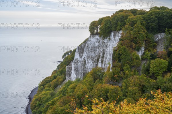 View of Victoria, chalk cliffs and Baltic Sea, Jasmund National Park, Sassnitz, Rügen island, Baltic Sea, Mecklenburg-Western Pomerania, Germany