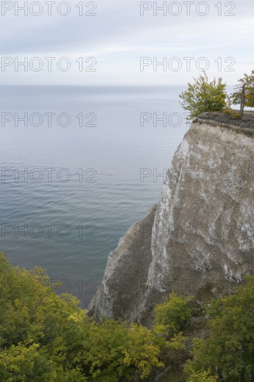 View of Königsstuhl chalk cliffs and Baltic Sea, Jasmund National Park, Sassnitz, Rügen island, Baltic Sea, Mecklenburg-Western Pomerania, Germany