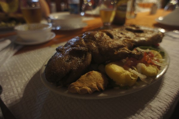 A rustic dinner with roasted guinea pig meat (caviidae), Cuy, and side dishes on a laid table, Ecuador