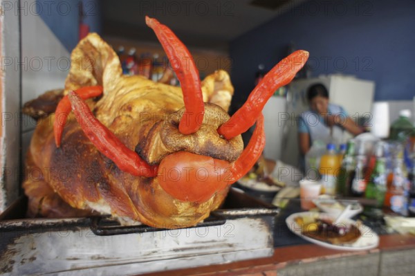 A suckling pig (porcus) with colourful accents in a lively restaurant ambience, Ecuador
