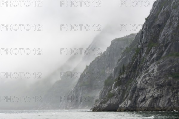 Mystical fog wraps around rock walls in a fjord, Northwestern Fjord, Kenai Fjords National Park, Kenai Peninsula, Alaska, USA