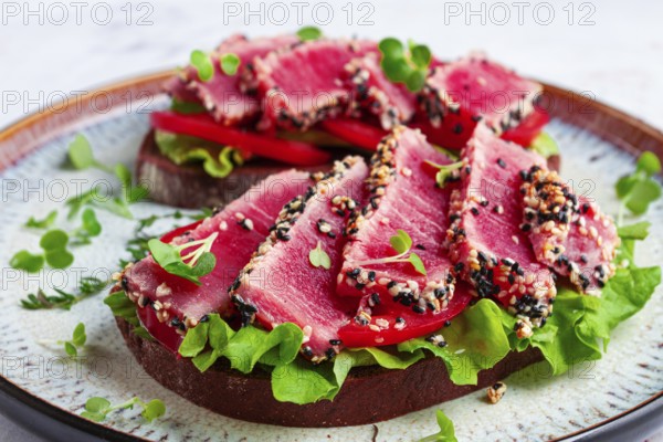 Sandwiches with fried tuna fillet in sesame seeds, breakfast, top view, homemade
