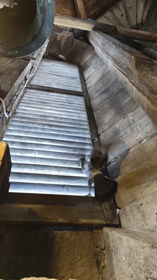 View into a wooden tower with a pigeon (columbidae) at the window, Thuringia