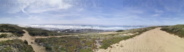 Panoramic view of a sandy beach and sea, hiking on the fishing trail, Southwest Alentejo nature park Park and Vicentina Coast, Portugal